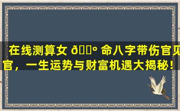 在线测算女 🌺 命八字带伤官见官，一生运势与财富机遇大揭秘！